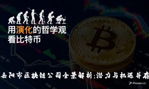 岳阳市区块链公司全景解析：潜力与机遇并存
